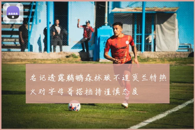 名记透露鹈鹕森林狼不追莫兰特热火对字母哥搭档持谨慎态度